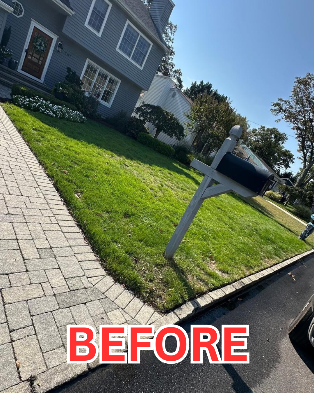 Before - Patchy lawn